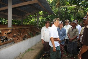 Gubernur Bali, Made Mangku Pastika didampingi Kadis Pertanian Bali Mad Putra Suryawan berdialog dengan Anggota Gapoktan di Desa Banyubiru, Jembrana
