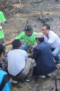 Aksi penanaman dilakuakan oleh para ketua komunitas peduli Mangrove dan PR III 