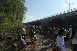 Kegiatan ini banyak diikuti oleh para mahasiswa, namun disini yang lebih dominan adalah mahasiswa MIPA Unud 