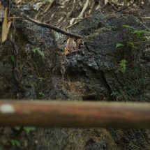 Bersinergi Penuhi Kebutuhan Air Bersih di Desa Pedawa, Cempaga, dan Sidetapa