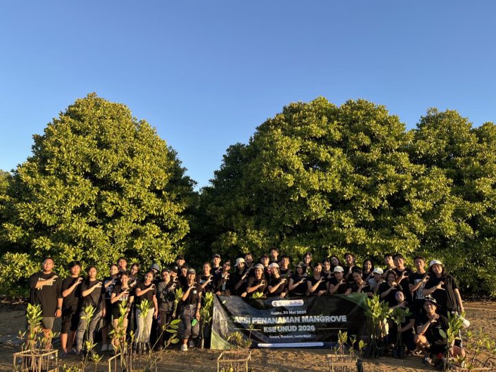 Tanam 200 Bibit Mangrove di Nusa Dua, KSE Udayana Libatkan 50 Peserta 